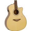 Hoefner HA GA 04 electro acoustic guitar, Grand Auditorium cutaway