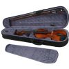 Stagg VN 4/4 violin (set)