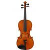Strunal 1750 4/4 concert violin