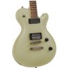 Gain DFL RH CBM electric guitar Deluxe Flame