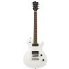 Gain DFL RP SW electric guitar Deluxe Flame