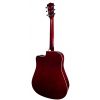 T.Burton Greengo W C N acoustic guitar