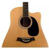 T.Burton Greengo W C N acoustic guitar