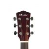 T.Burton Greengo W C N acoustic guitar