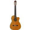 Esteve 1.EL electric/classical guitar