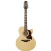 Takamine EG523SC 12 electric/acoustic guita