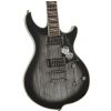 Ibanez DN520K SSB Darkstone electric guitar