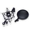 LD Systems DSM400 Microphone Shock Mount with Pop Filter