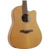 Ibanez AW3050CE LG electro-acoustic guitar