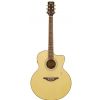Hoefner HAJC07 NT Jumbo cutaway acoustic guitar
