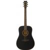 Morrison SW 12/BKM acoustic guitar