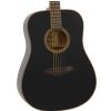 Morrison SW 12/BKM acoustic guitar