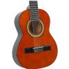 Miguel J. Almeria Pure SE classical guitar