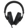 Sony MDR7510 headphones