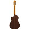 Esteve 1.EL electric/classical guitar