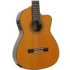 Esteve 1.EL electric/classical guitar