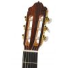 Esteve 1.EL electric/classical guitar