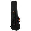 Ashton ARM2400B bass guitar case