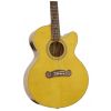 Epiphone Joan Sebastian Sonador electric/acoustic guitar