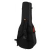 Ashton ARM2400C classical guitar case