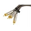 Hometec Sommer Spirit XXL / Neutrik interkonekt RCA stereo 2x50cm cable