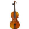 Paesold PA802E 4/4 violin