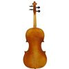 Paesold PA802E 4/4 violin