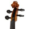 Paesold PA802E 4/4 violin