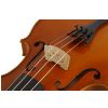 Paesold PA802E 4/4 violin