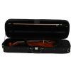 Hoefner H115 AS violin