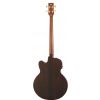 Hoefner HA-B07 acoustic bass guitar