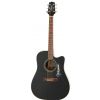 Takamine EG-321C electric/acoustic guitar