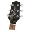Takamine EG-321C electric/acoustic guitar