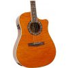 Fender T-Bucket 300-CE RW electric/acoustic guitar