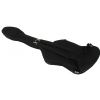 Canto SEL2.0 Thunderbird bass guitar soft case