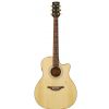 Hoefner HA GA 07 acoustic guitar Hoefner HA GA 07 acoustic guitar