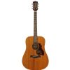 Richwood D 50 acoustic guitar satin finish