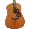 Richwood D 50 acoustic guitar satin finish