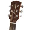 Richwood D 50 acoustic guitar satin finish