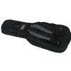 Fender Gig Bag Deluxe Double guitarsoft case