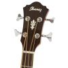 Ibanez AEB10E NT acoustic bass guitar