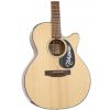 Takamine EG 440SC NEX electric/acoustic guitar