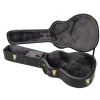 Epiphone Jumbo acoustic guitar case