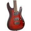 Ibanez S421 BBS electric guitar