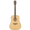 Morrison SW 12/NM acoustic guitar