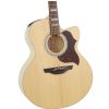 Takamine EG 523SC electric/acoustic guitar