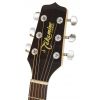 Takamine EG 523SC electric/acoustic guitar