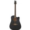 T.Burton Maiden HG WCBK electric/acoustic guitar