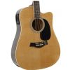 T.Burton Greengo W CE N electric acoustic guitar