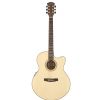 Dowina JCE 999S LE electric/acoustic guitar